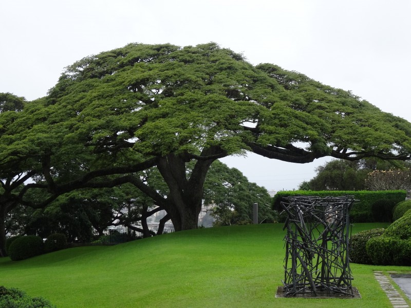 陜西安康漢江公園風(fēng)景圖片