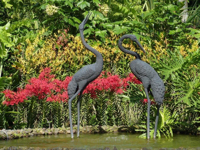 陜西安康漢江公園風(fēng)景圖片