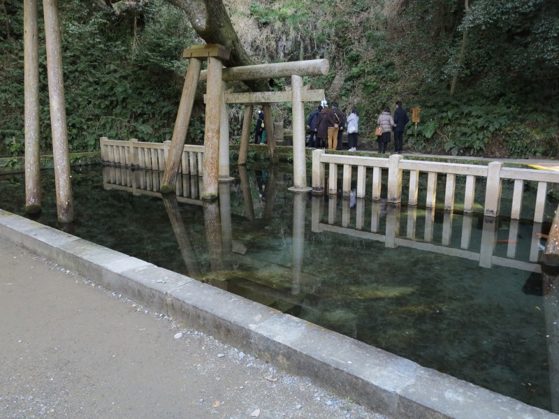 日本鹿島神宮洗手池塘圖片