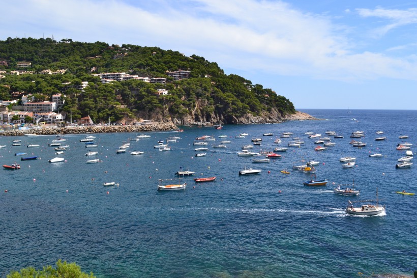 佛德角布拉瓦島海景圖片