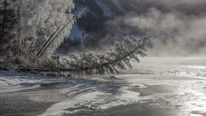 新疆禾木冬季雪景風景圖片