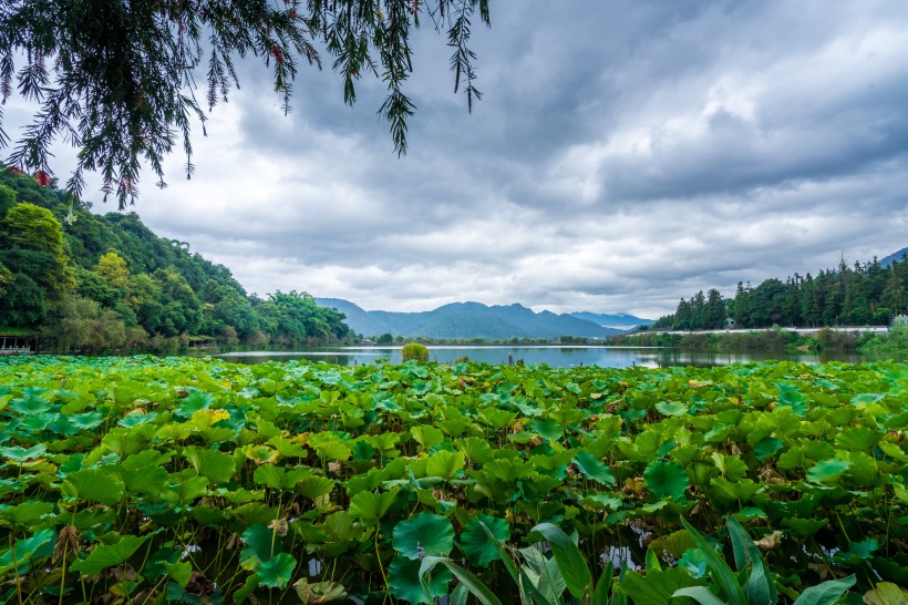 云南腾冲自然风景图片