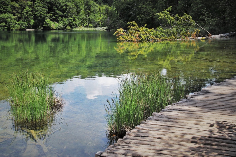 克羅地亞普利特維采湖自然風(fēng)景圖片