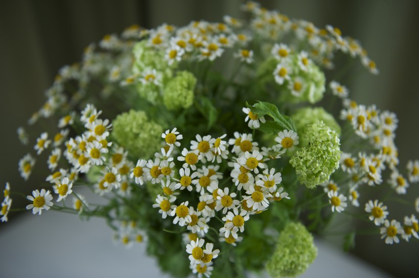 漂亮的鲜花花束图片