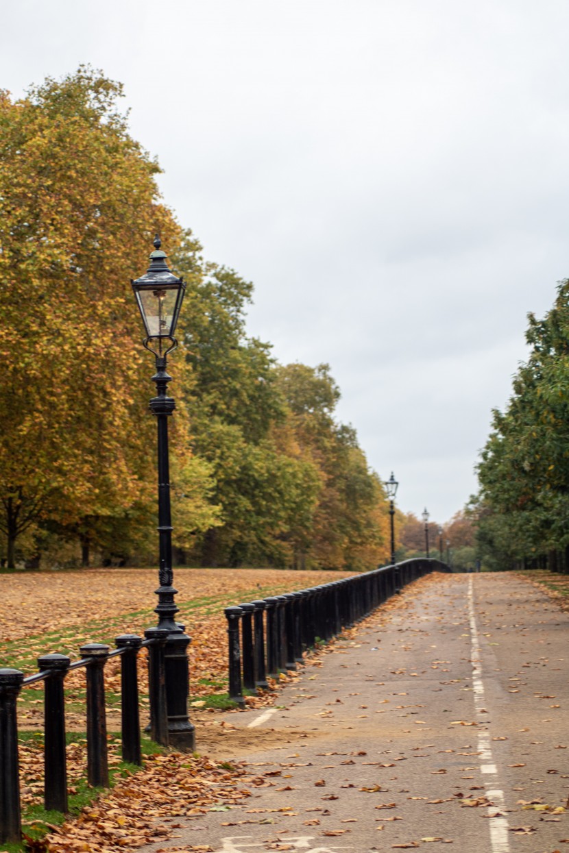 英國(guó)倫敦海德公園風(fēng)景圖片