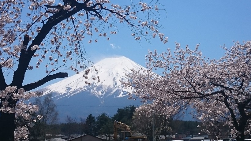 美丽的富士山图片