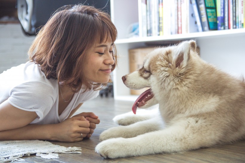 美女和狗狗图片