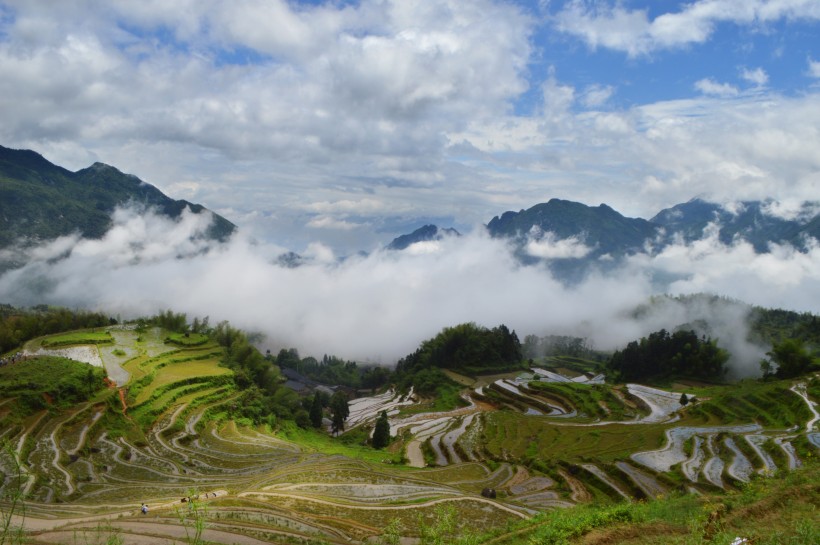 浙江丽水云和梯田自然风景图片