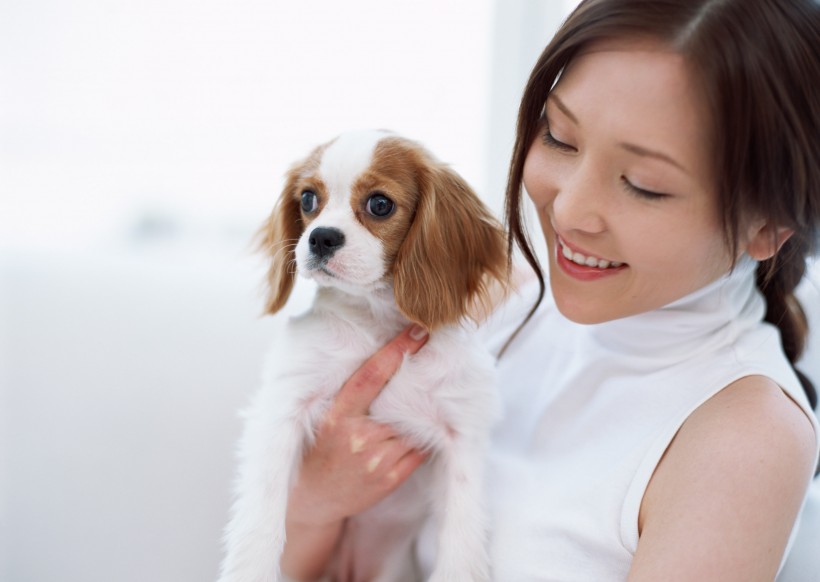 女性和宠物图片