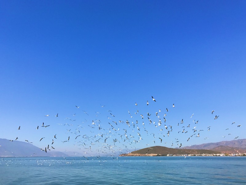 云南大理洱海自然風景圖片