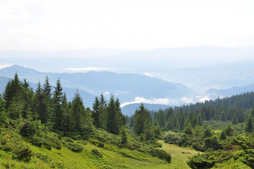 乌克兰喀尔巴阡山自然风景图片