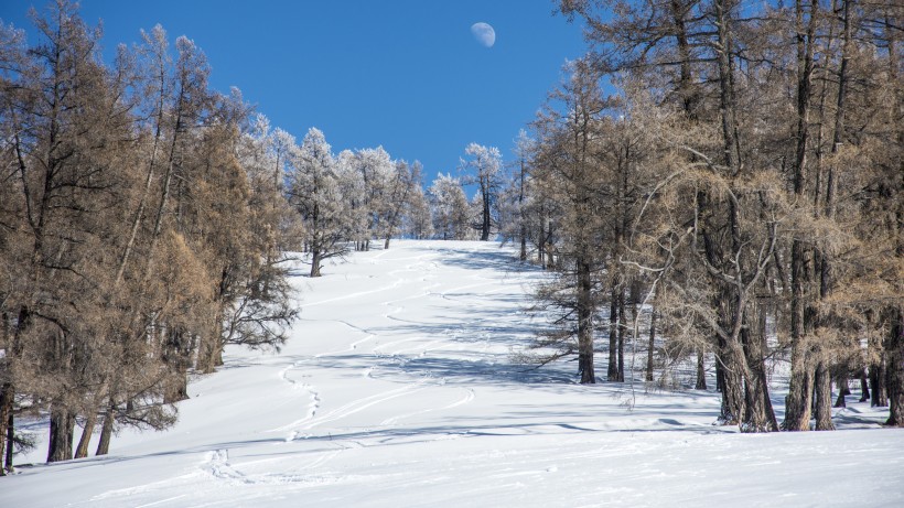 新疆禾木冬季雪景風(fēng)景圖片