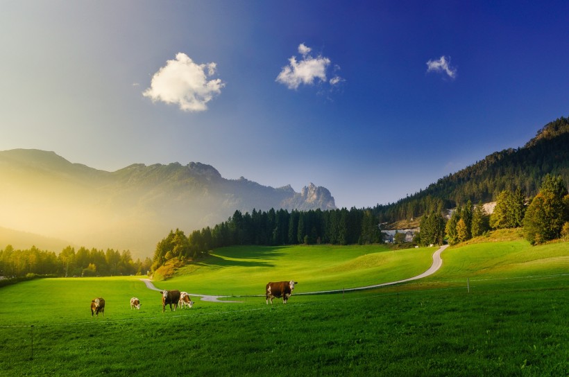 瑞士阿尔卑斯山上的小房子乡村风景图片
