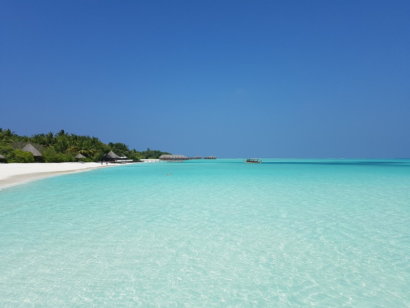 浪漫的马尔代夫海岸风景图片