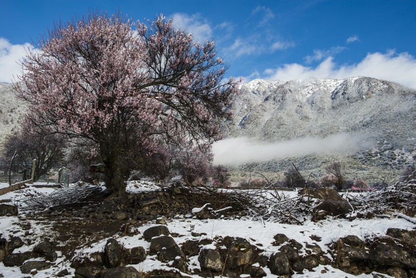 雪后的索松村風(fēng)景圖片