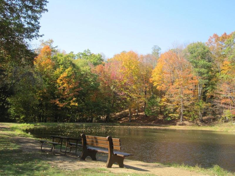 陜西安康漢江公園風(fēng)景圖片