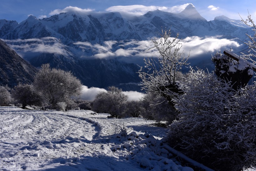 雪后的索松村風(fēng)景圖片