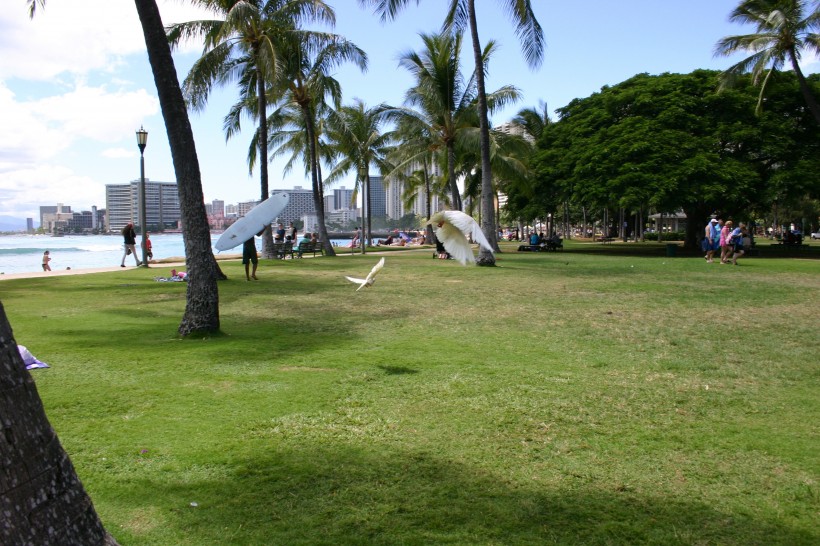 美國(guó)夏威夷檀香山風(fēng)景圖片