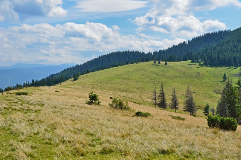 烏克蘭喀爾巴阡山自然風(fēng)景圖片