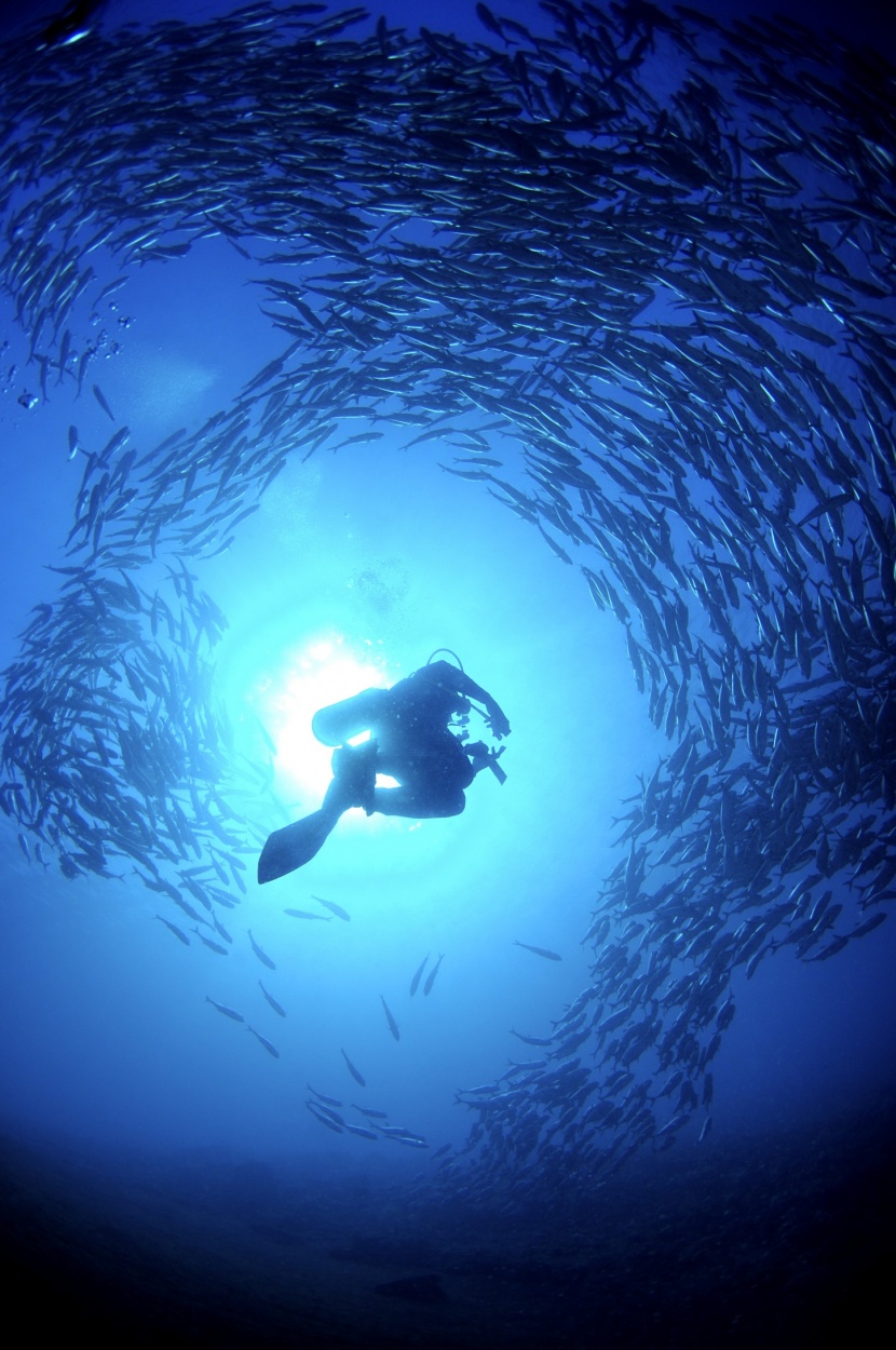 深海潜水图片