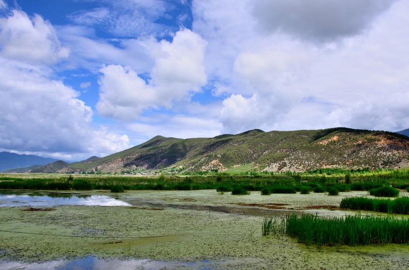 泸沽湖草海风景图片