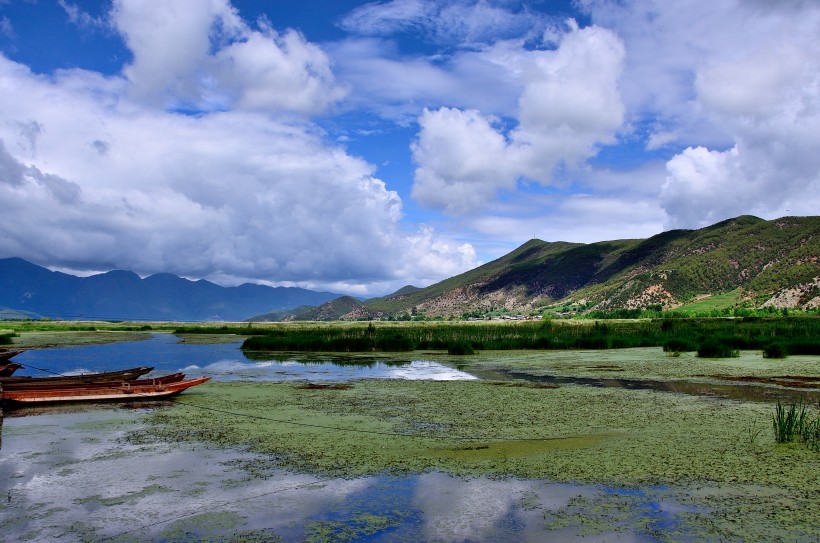 泸沽湖草海风景图片