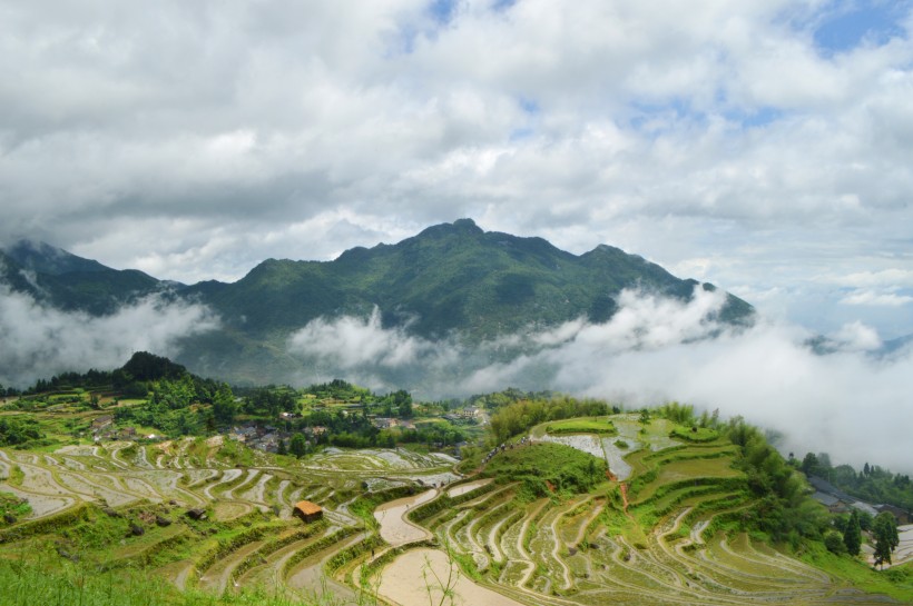 浙江丽水云和梯田自然风景图片