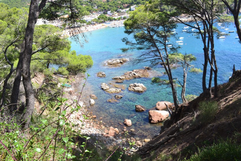 佛德角布拉瓦島海景圖片