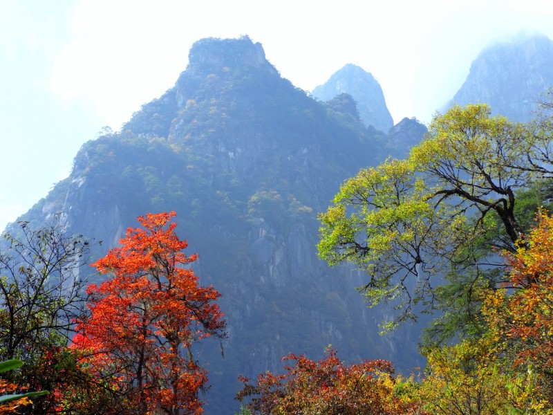 四川燕子沟风景图片