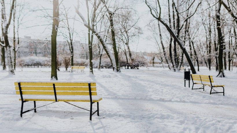 公园里的雪景图片