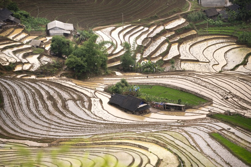 越南乡村田园风景图片