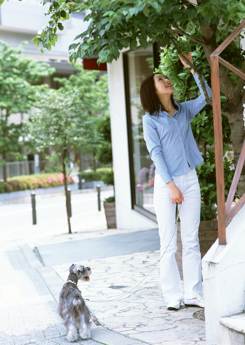 女性帶寵物逛街圖片