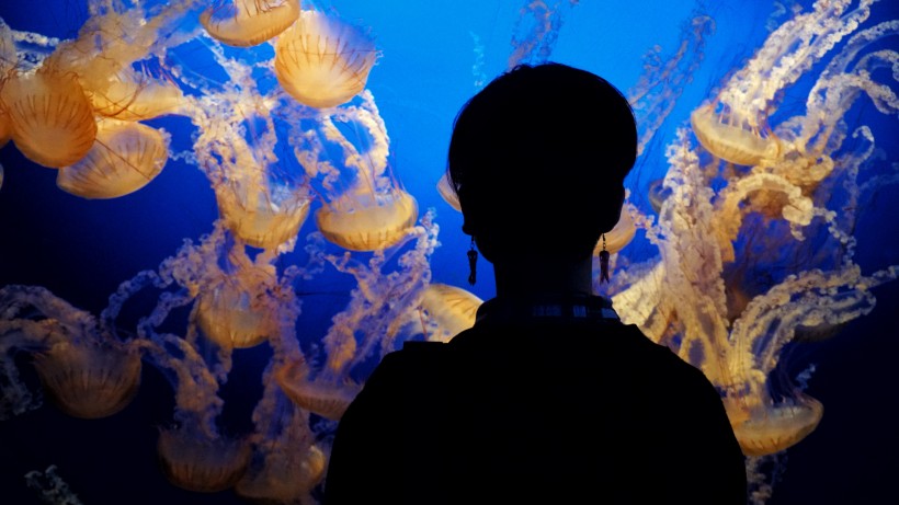 游覽水族館的人圖片