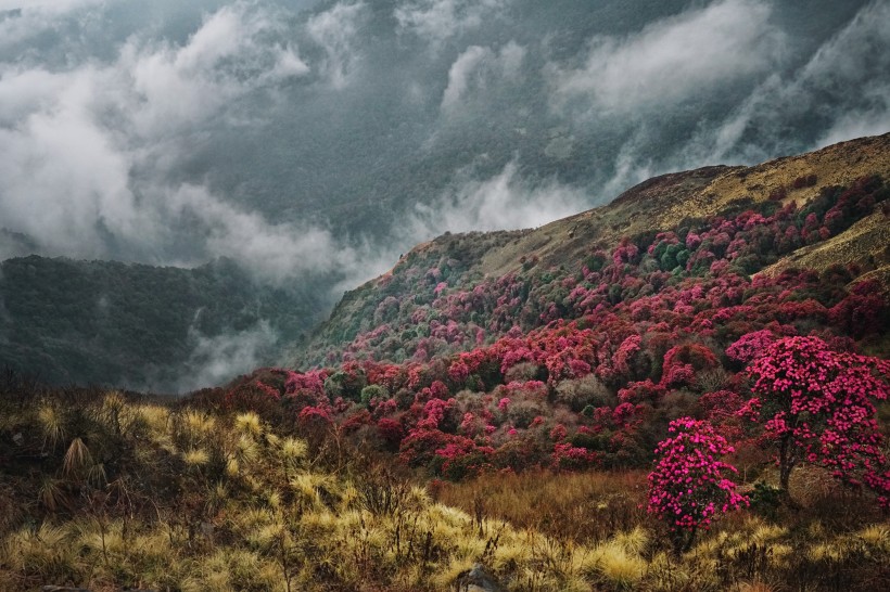 尼泊尔喜马拉雅山自然风景图片