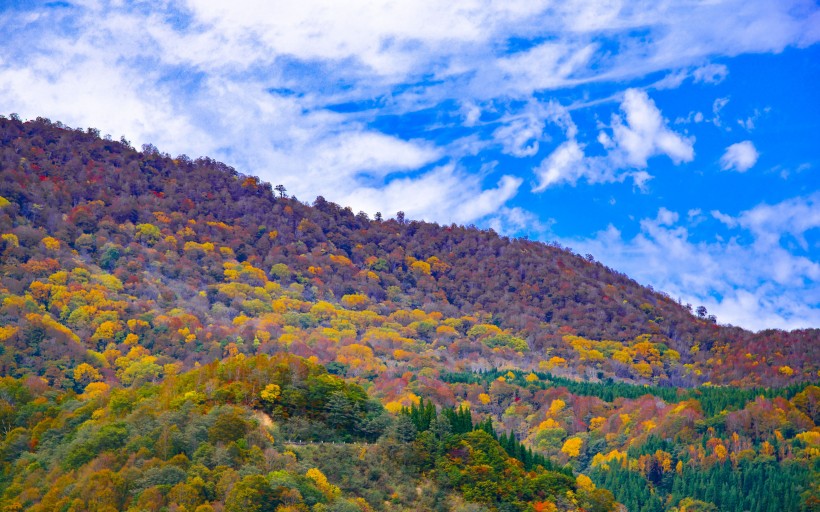 日本长野县自然风景图片