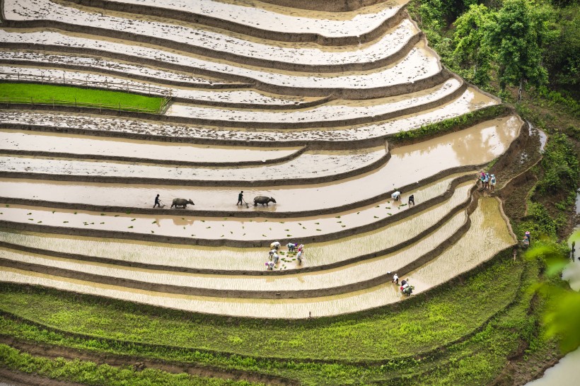 越南乡村田园风景图片