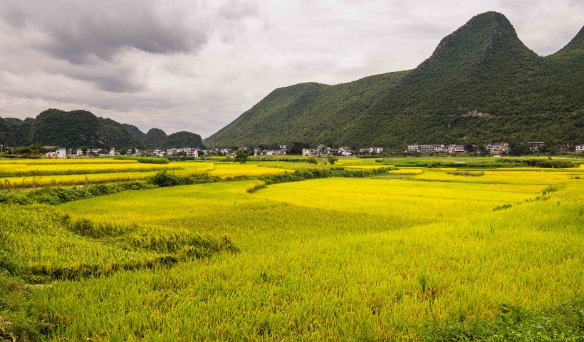 贵州万峰林自然风景图片