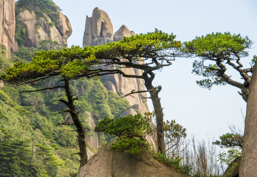 江西錦繡壯麗三清山風(fēng)景圖片