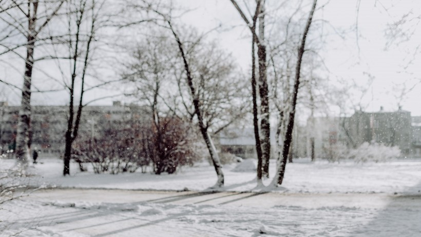 公园里的雪景图片