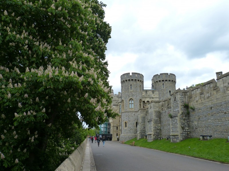  英国温莎城堡风景图片