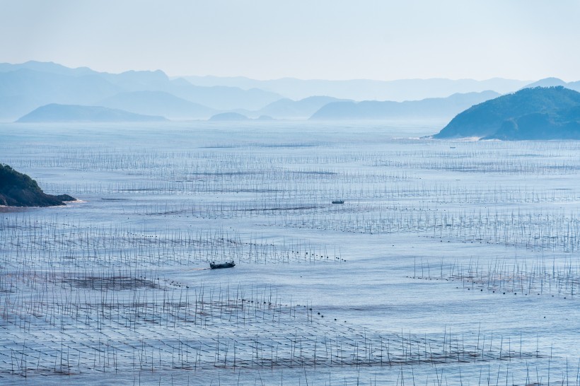 福建霞浦灘涂風(fēng)景圖片