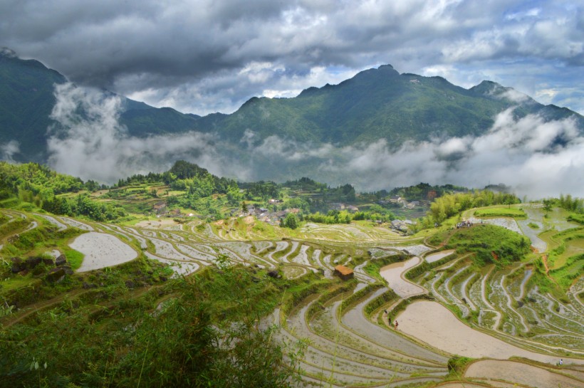 浙江丽水云和梯田自然风景图片