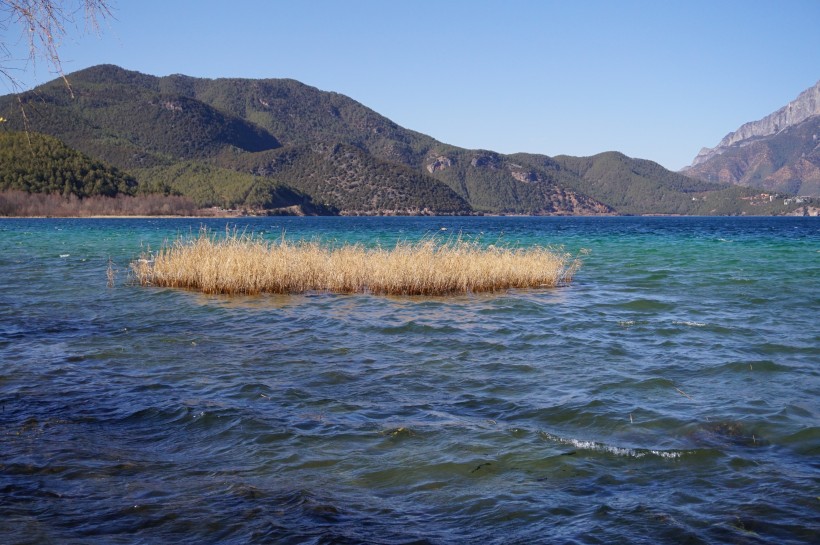 云南优美的泸沽湖风景图片