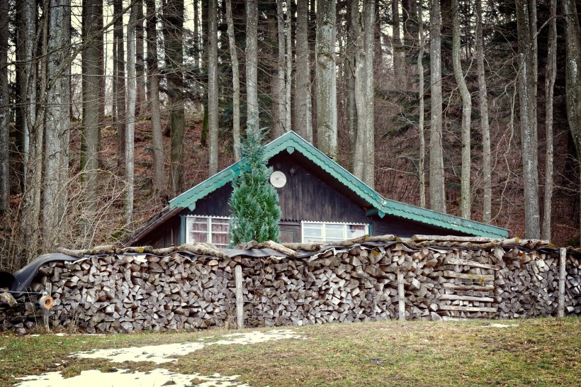 加拿大魁北克森林小屋风景图片