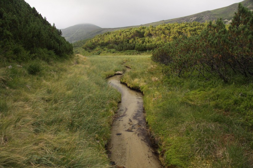 乌克兰喀尔巴阡山自然风景图片