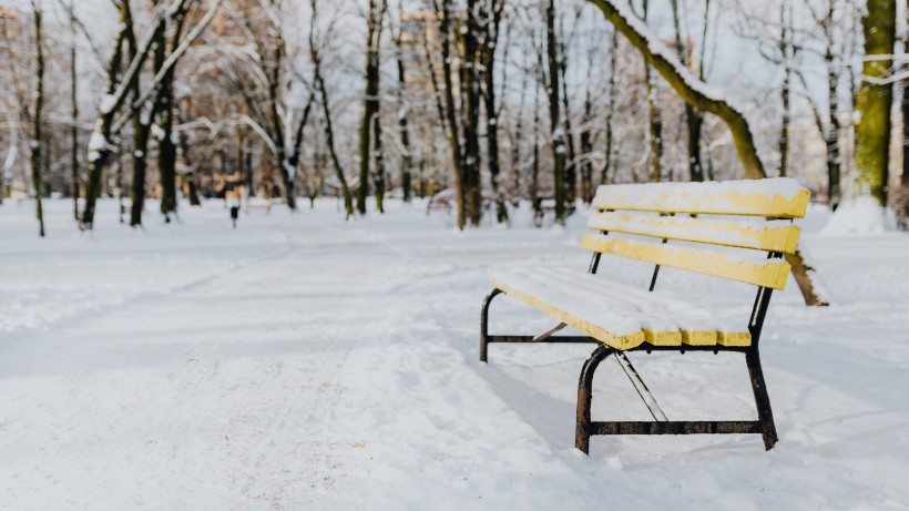 公园里的雪景图片