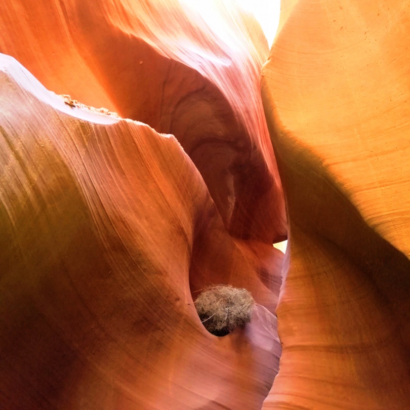 美国羚羊大峡谷风景图片