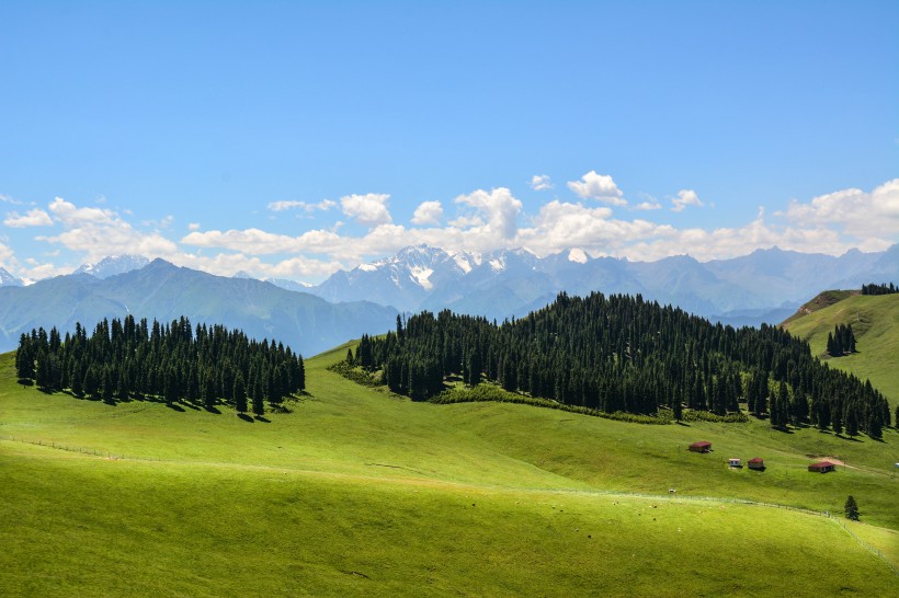 新疆索尔巴斯陶自然风景图片