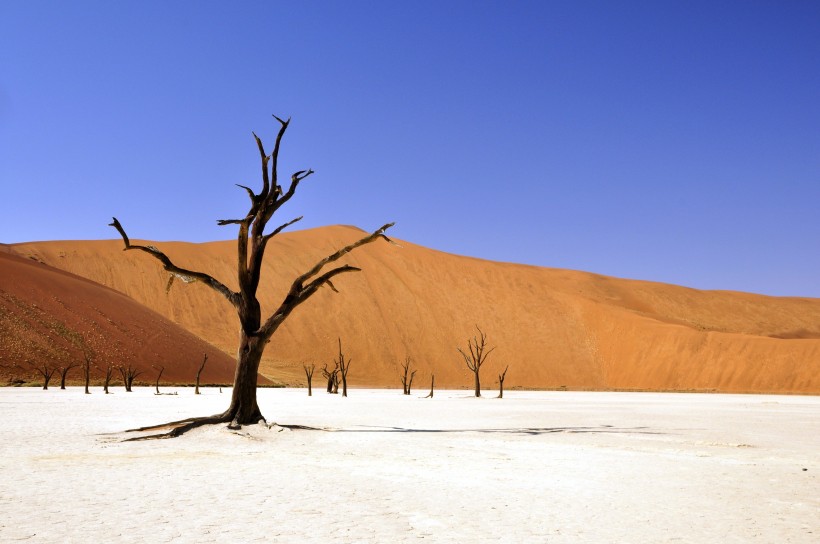 非洲纳米比亚沙漠风景图片
