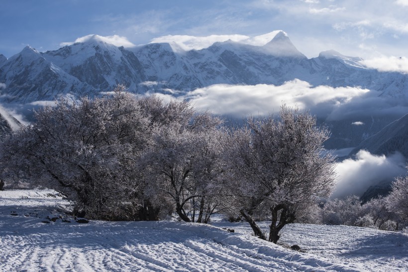 雪后的索松村風(fēng)景圖片